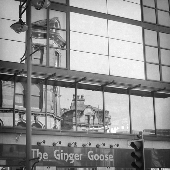 The Ginger Goose